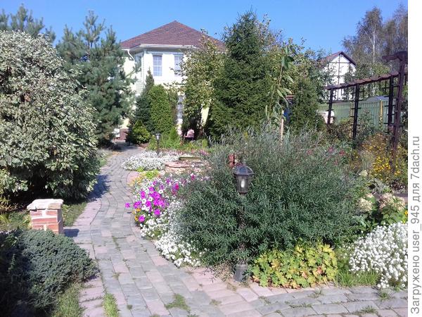 Солнце слишком яркое, на телефоне фотки засвечивались.