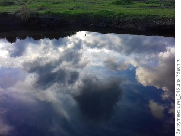 Отражение неба.