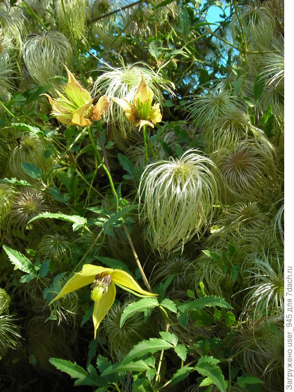 Все стадии)))