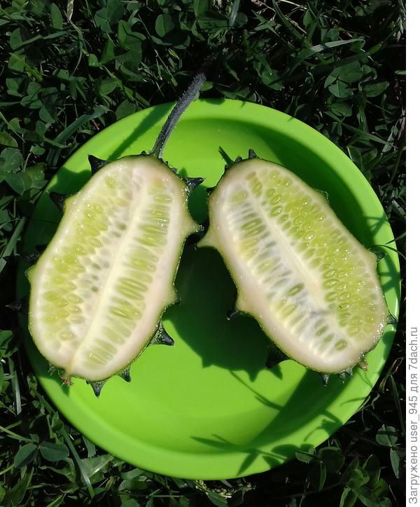 Муж мякоть чайной ложкой доставал))