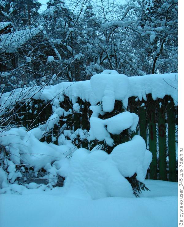 Шикарный наряд)))