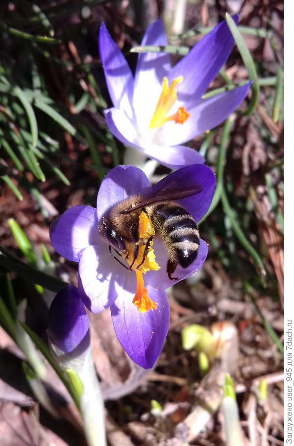 Ещё чуть-чуть и всё это будет;)))