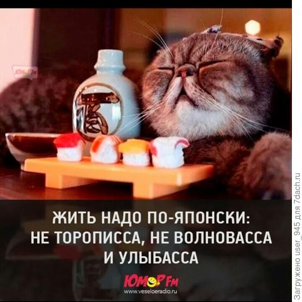 Вот всё думаю не Феденька ли это;)