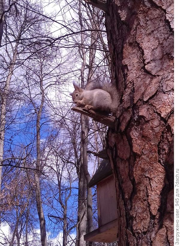 Извините, фотки с телефона.