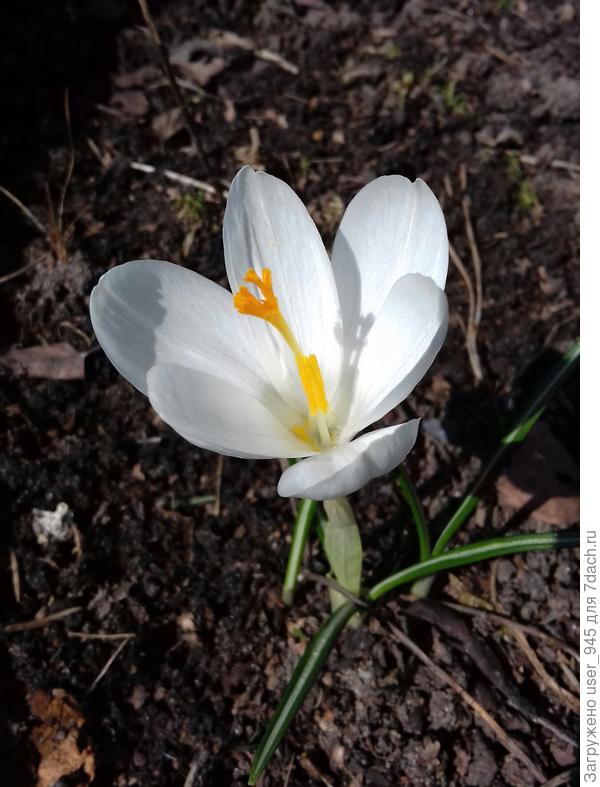 Это тебе с благодарностью)))