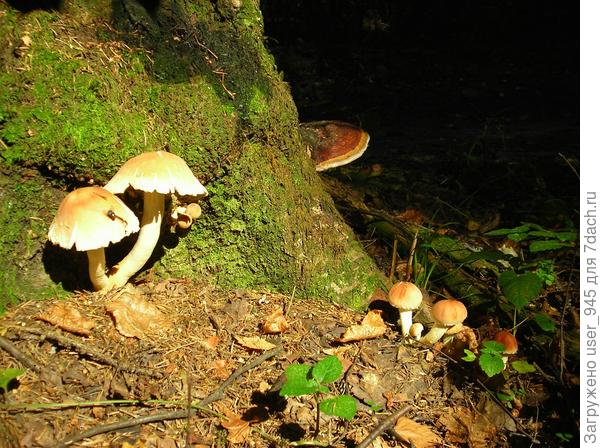 Погреться на солнышке))