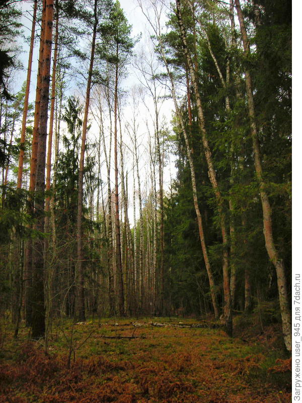 А потом вот так...))