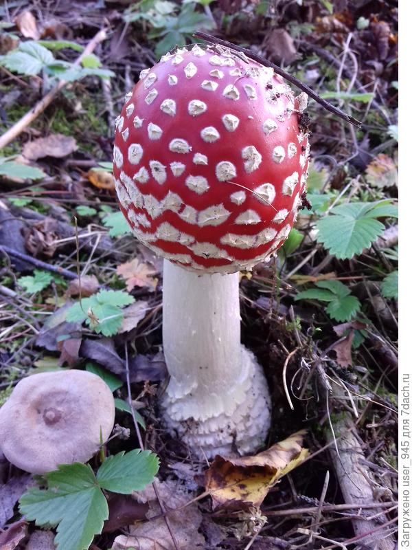 Юный модник)))