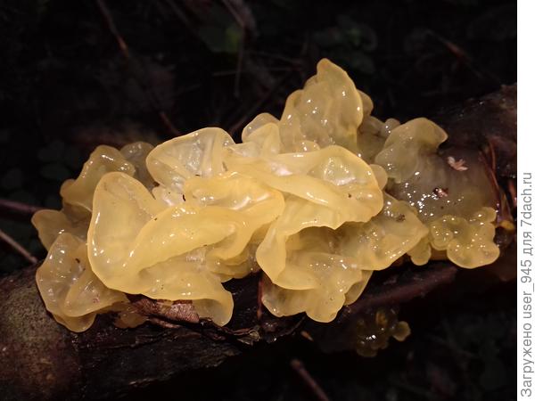 Интересно кто это?