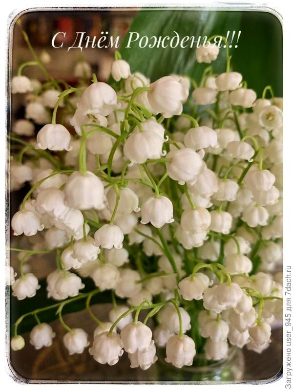 Ландыши для замечательной девушки!)))