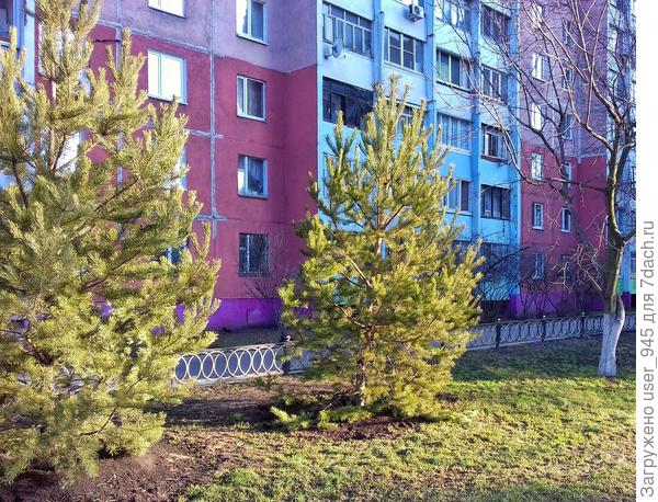 На остановке в городе)).