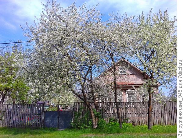 Старенький дом родителей.