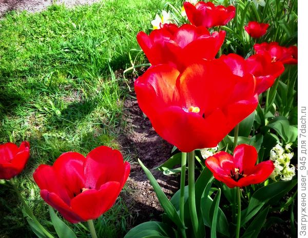 Скоро-скоро...)))))