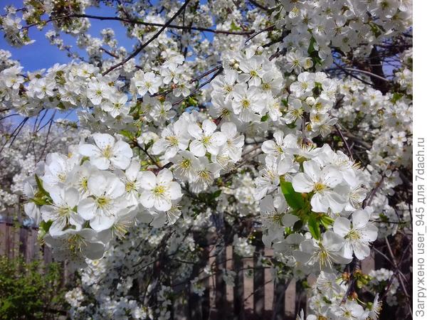 Тёплой весны нам всем)))
