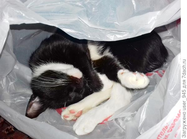 Любые пакеты наша любофф))