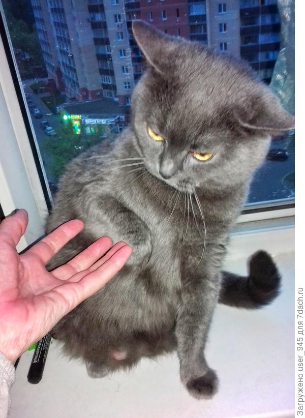 Это что задумала?))