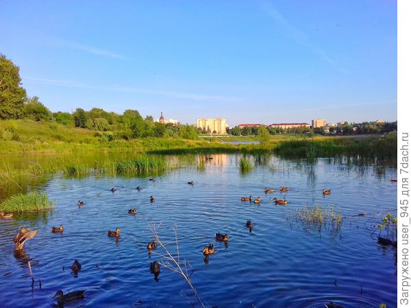 На городском озере))