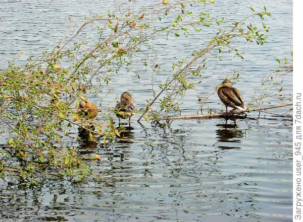 Летние посиделки))