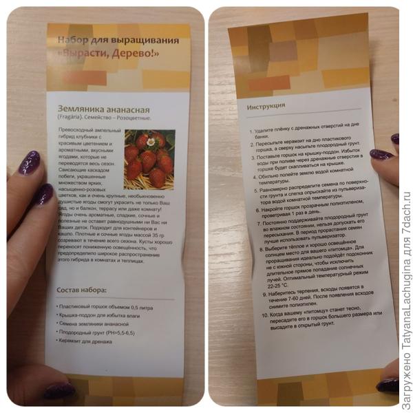 Кажется, набор для детей ))) но мне всё нравится.