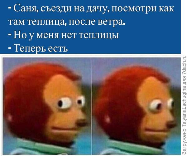 сама рисовала!