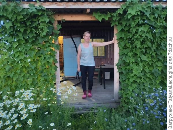 непосредственно, "до", в сумерках