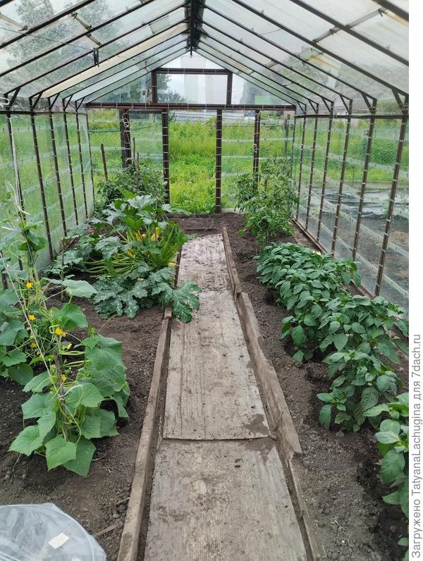 к сожалению не сделала фото "до",  где кабачок пытался захватить мир