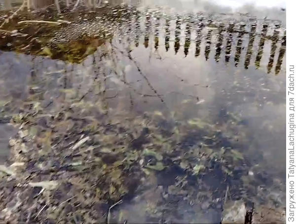 вот такой потоп!