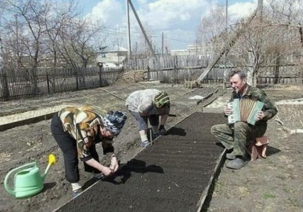 Мужик - он всегда нужен!