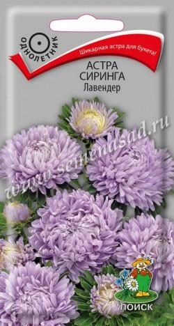 Астра Сиринга Ливандер