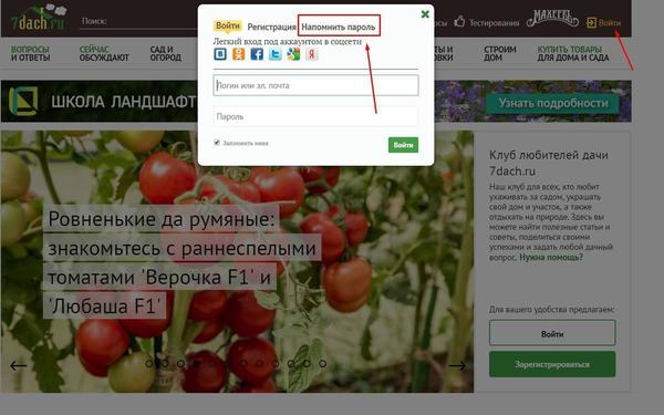 После этого в поле е-мэйл нужно ввести тот е-мэйл, на котором зарегистрирован аккаунт. На почту вам придет пароль, с помощью которого вы сможете войти на сайт. Если письма долго нет, посмотрите в папке «спам», возможно, оно попало туда.