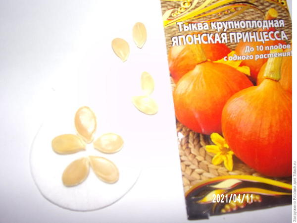 ееыр