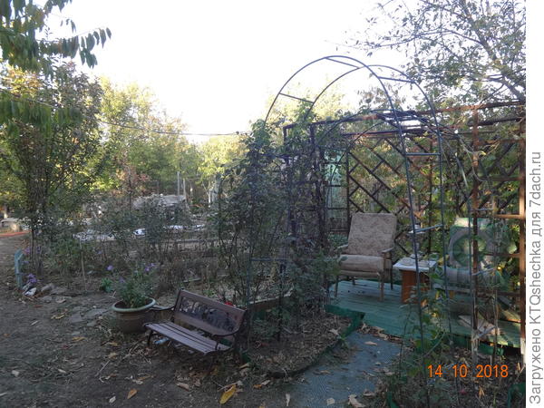 Идея этой беседки в том, что клематисы должны сомкнуться у неё на крыше. Я её назвала чайная беседка для двоих.