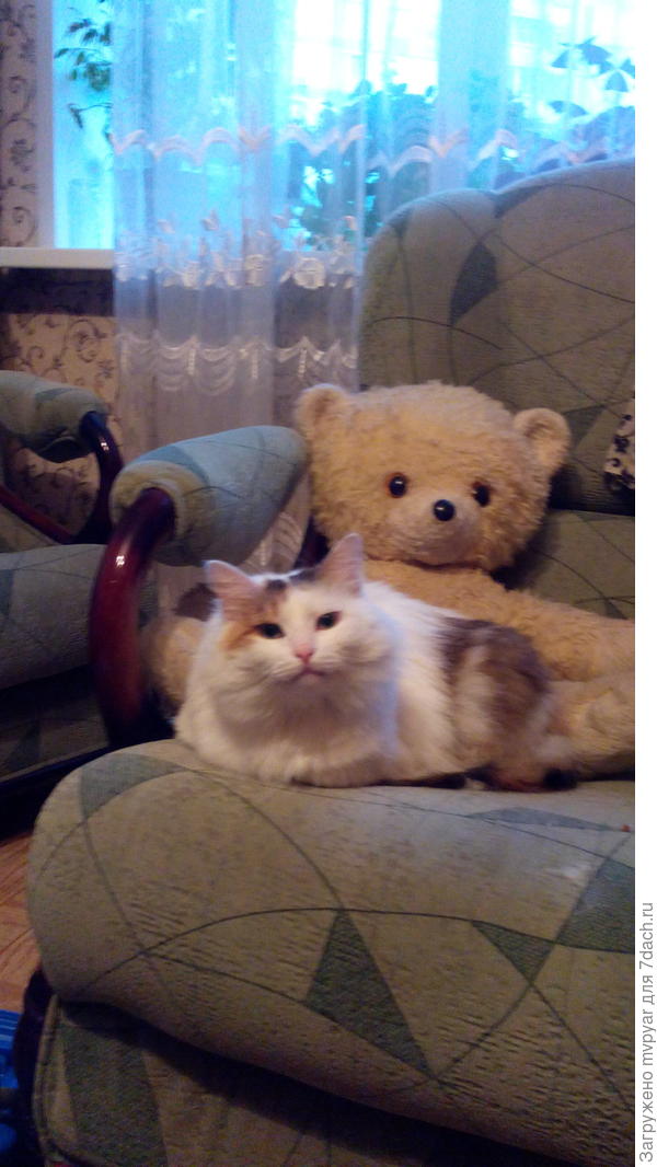 Первые дни дома , привыкает.