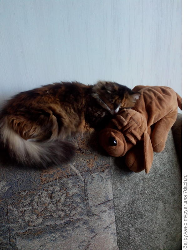 с &amp;quot;подружкой&amp;quot; )))