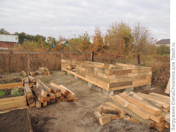 курятник