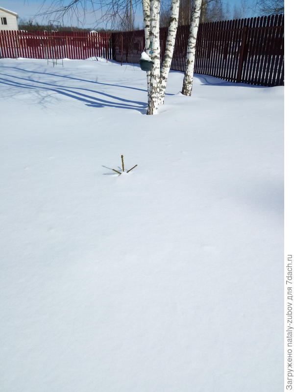 маленькую даже не стали разгребать и укрывать