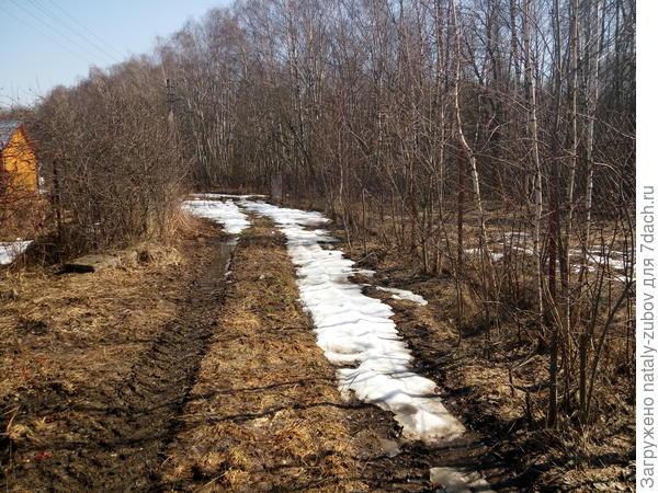 снег еще лежит