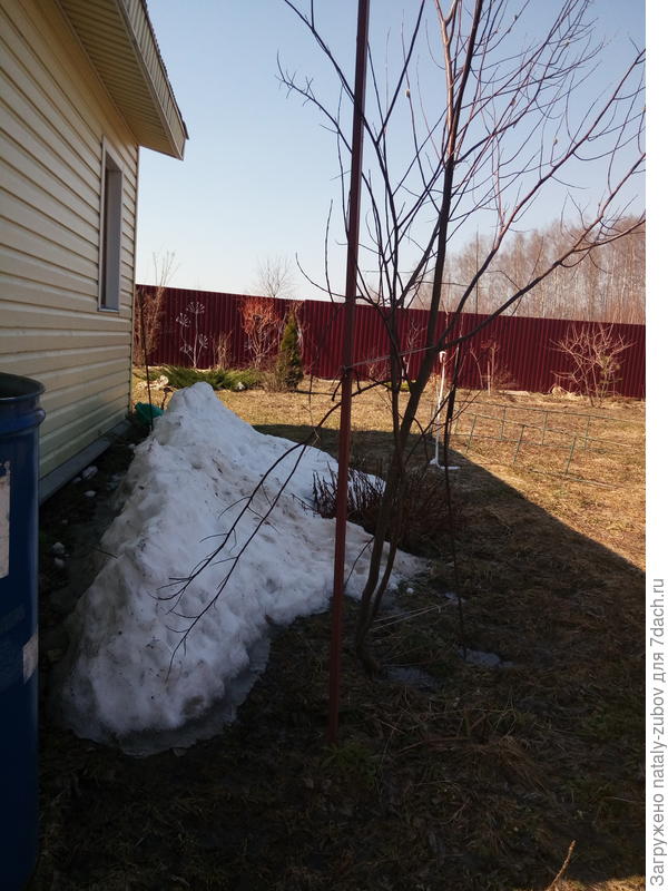 вот здесь сугроб обычно до майских лежит