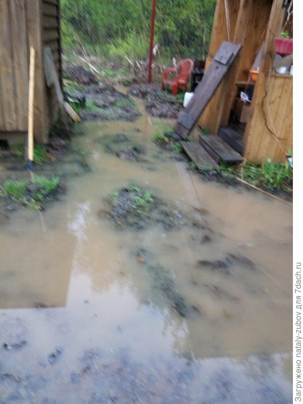 ночью был дождь, из цикла - хотели как лучше, получилось как всегда! С учетом того , что этого НИКОГДА не было! Вода не уходит и воняет еще как на болоте