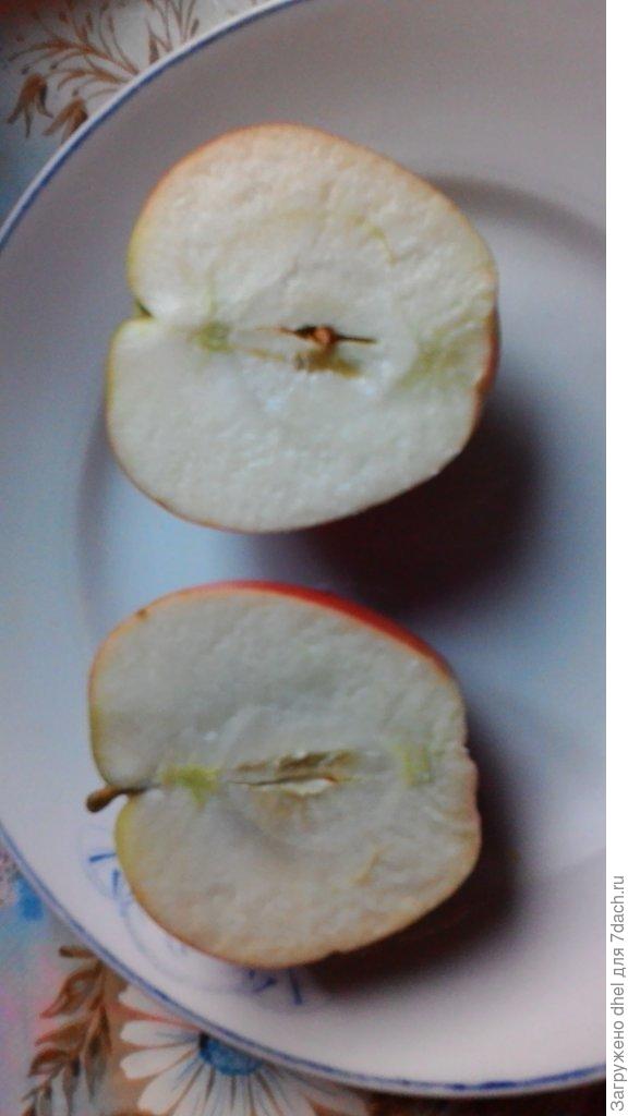 Может кто-нибудь узнает сорт