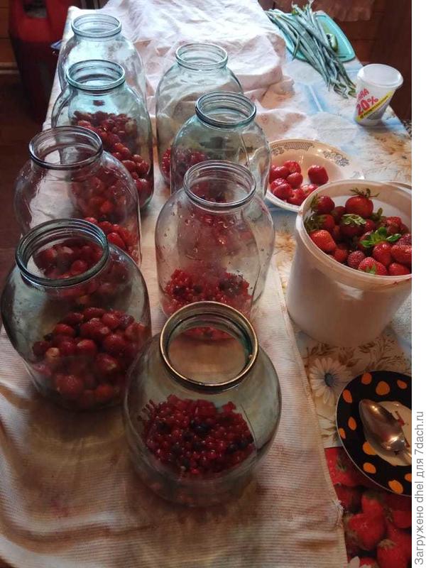 Клубника со смородиной