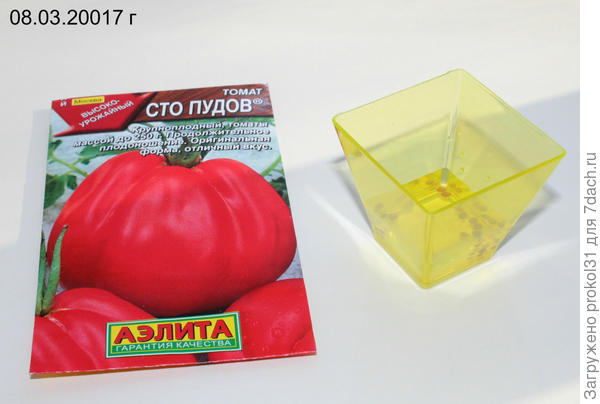 семена в растворе мёда