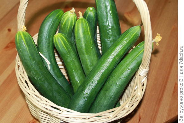 массовый урожай