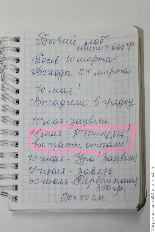 записи