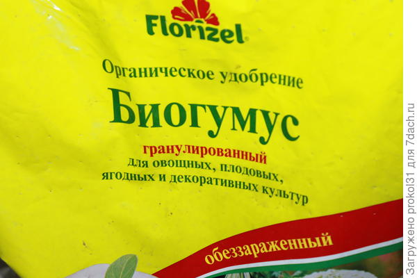 ббб