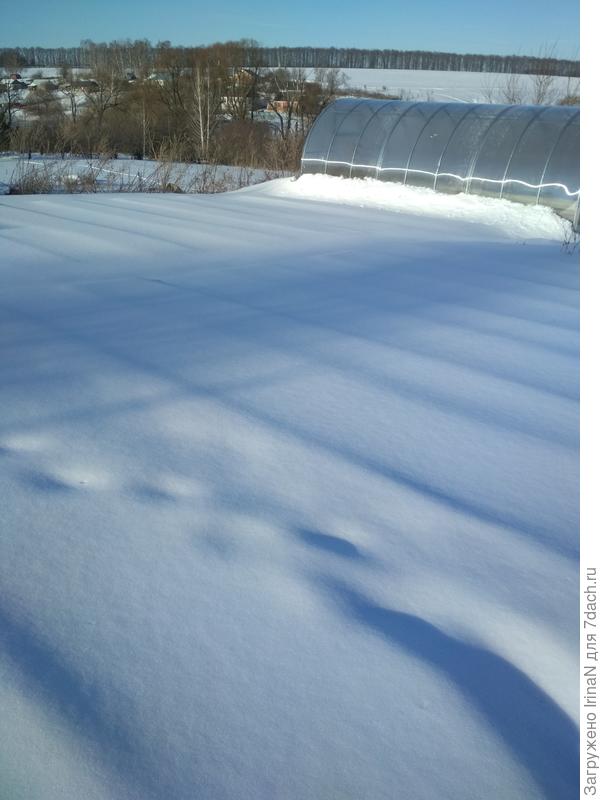 Вот такой у нас март! Так что играется в огород только на подоконниках, и теперь вот в теплице!