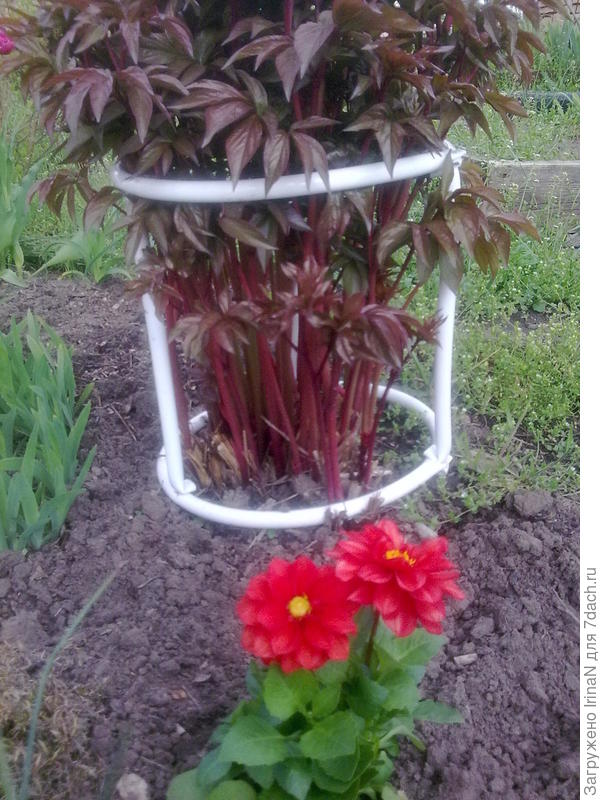 Это фото я взяла за образец, ну а муж немного модифицировал. Автору идеи большое спасибо!