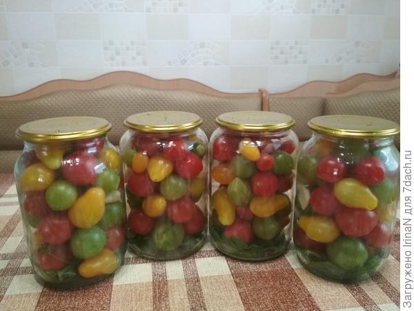 2017 год. Такой вот светофор!