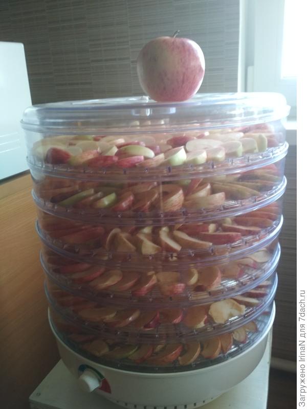 И сушку сушу! Запах в доме просто обалденный!