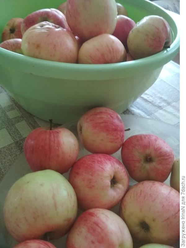 У меня сейчас такие.